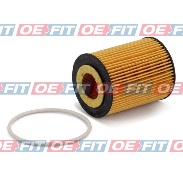 Oil Filter (310 16 217 02 22)