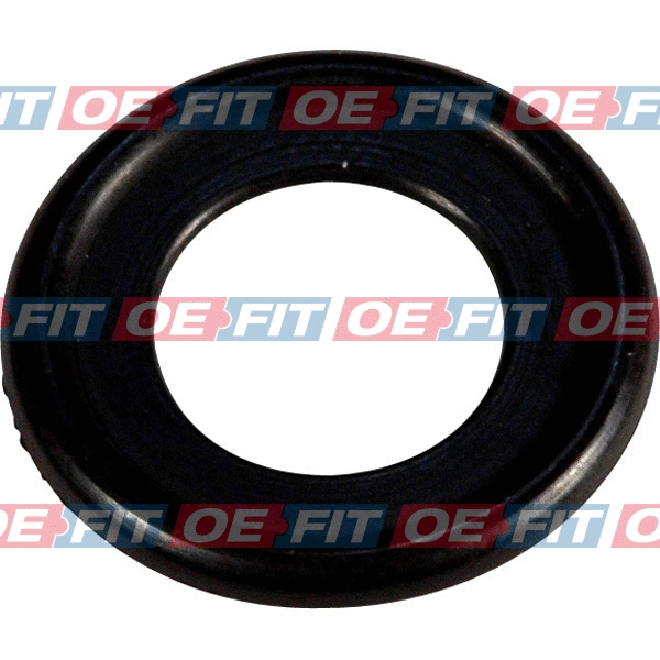 Seal Ring, oil drain plug (313 16 065 03 22)