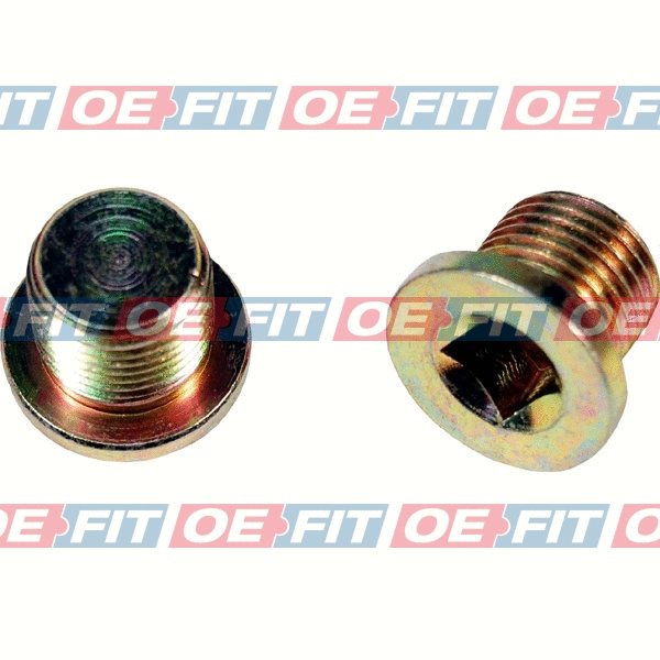 Screw Plug, oil sump (310 12 501 03 22)