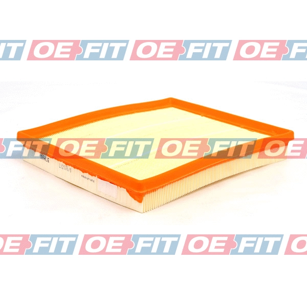 Air Filter (310 02 425 02 22)