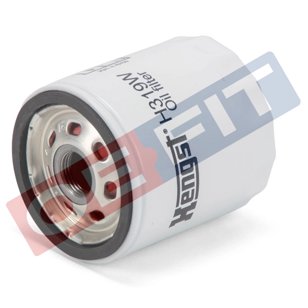 Oil Filter (310 06 137 03 22)