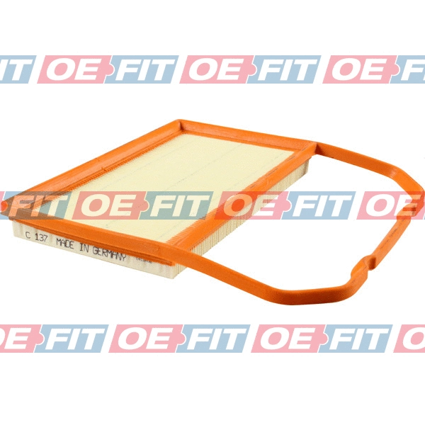 Air Filter (310 18 185 03 22)