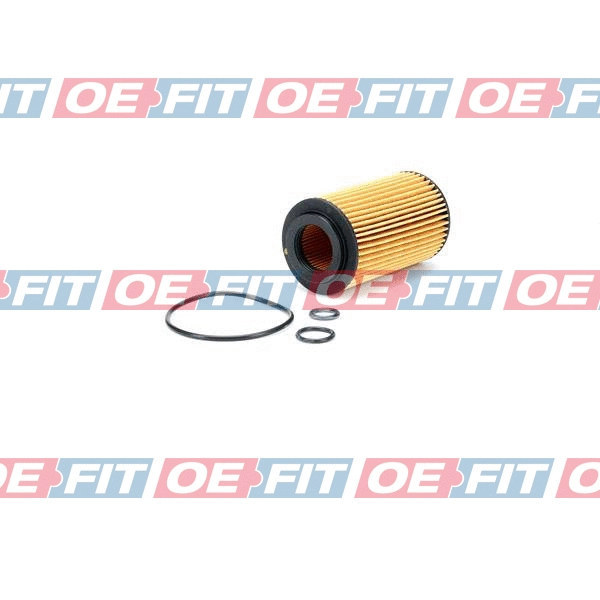 Oil Filter (310 12 267 02 22)