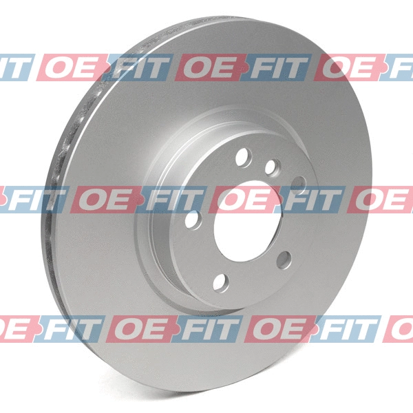 Brake Disc (317 02 094 03 22)