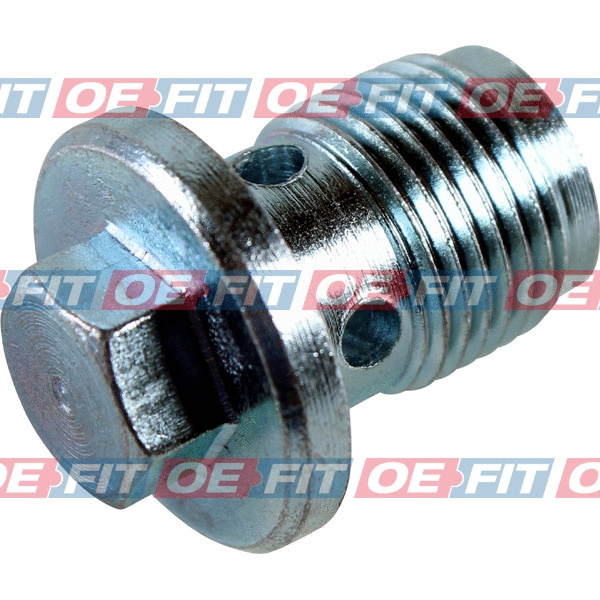 Screw Plug, oil sump (310 34 951 02 22)
