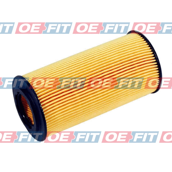 Oil Filter (310 12 155 03 22)