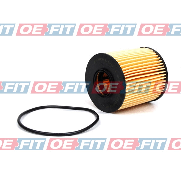 Oil Filter (310 38 104 03 22)