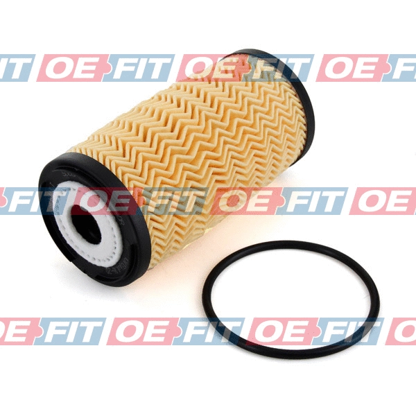 Oil Filter (310 16 293 02 22)