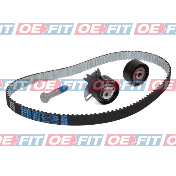 Timing Belt Kit (300 06 011 03 22)