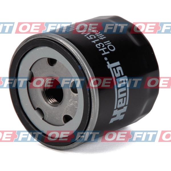 Oil Filter (310 06 189 03 22)