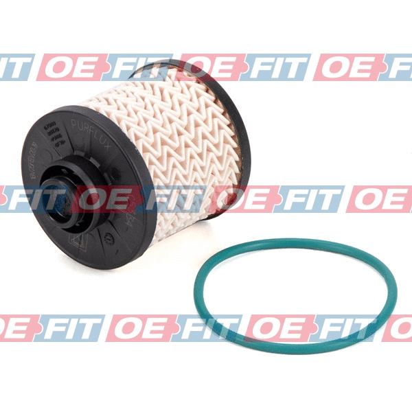 Fuel Filter (312 06 009 02 22)