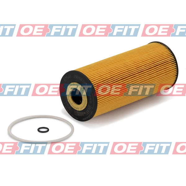 Oil Filter (310 18 145 03 22)