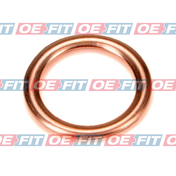 Seal Ring, oil drain plug (313 27 057 03 22)