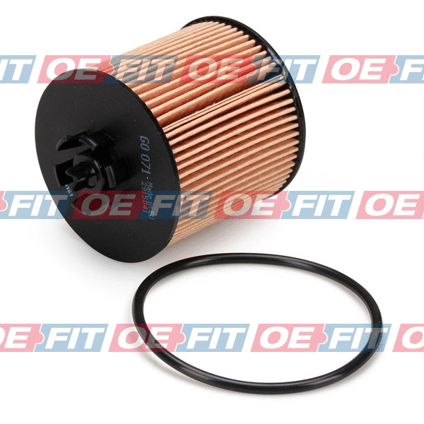 Oil Filter (310 18 338 03 22)