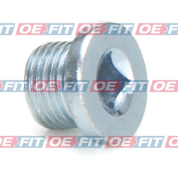 Screw Plug, oil sump (310 26 954 03 22)