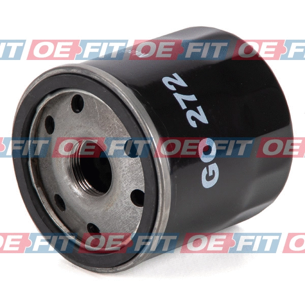 Oil Filter (310 06 209 03 22)