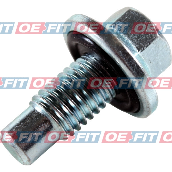 Screw Plug, oil sump (310 16 956 03 22)