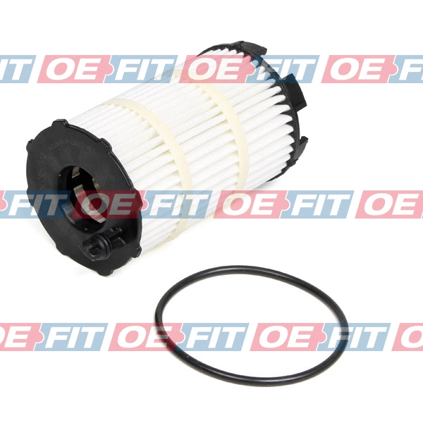 Oil Filter (310 18 303 02 22)