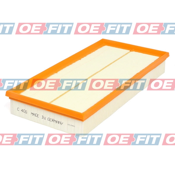 Air Filter (310 18 100 03 22)