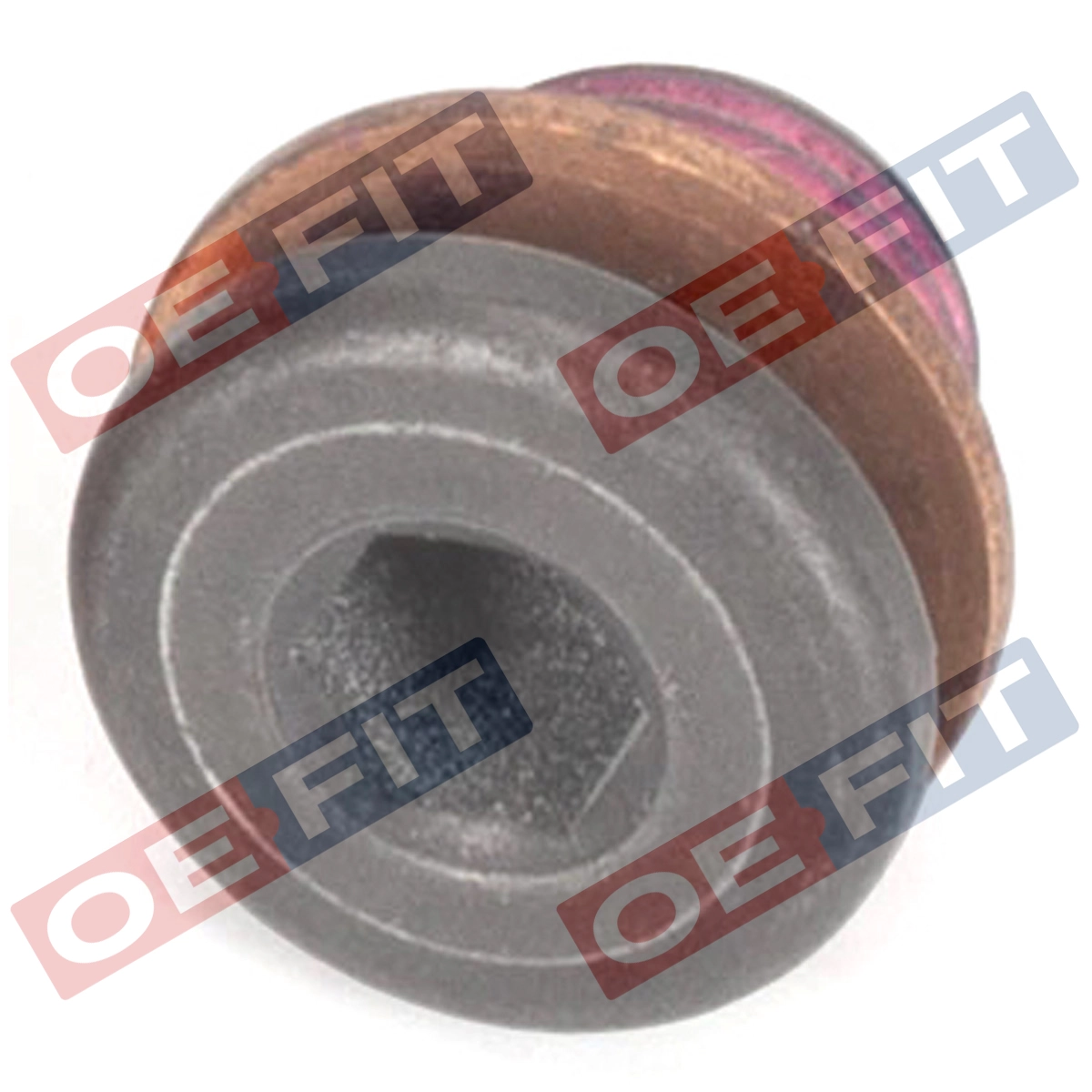Screw Plug, transmission housing (100 12 073 02 22)