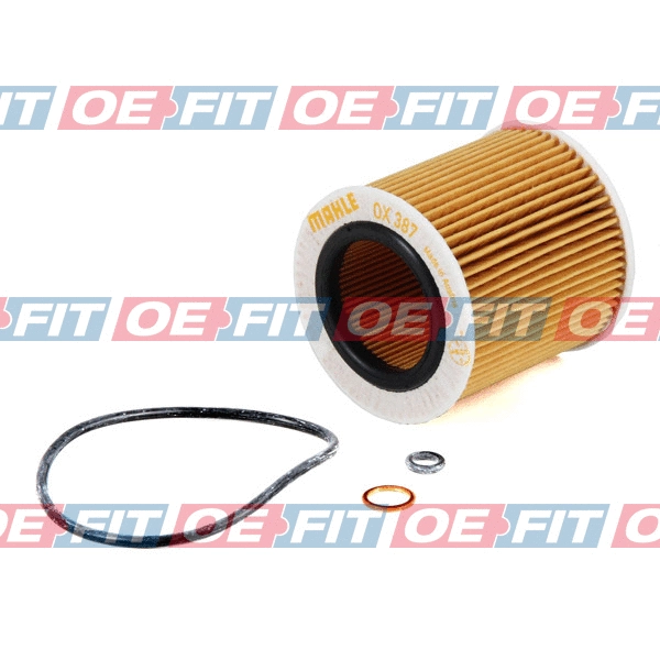 Oil Filter (310 02 289 03 22)