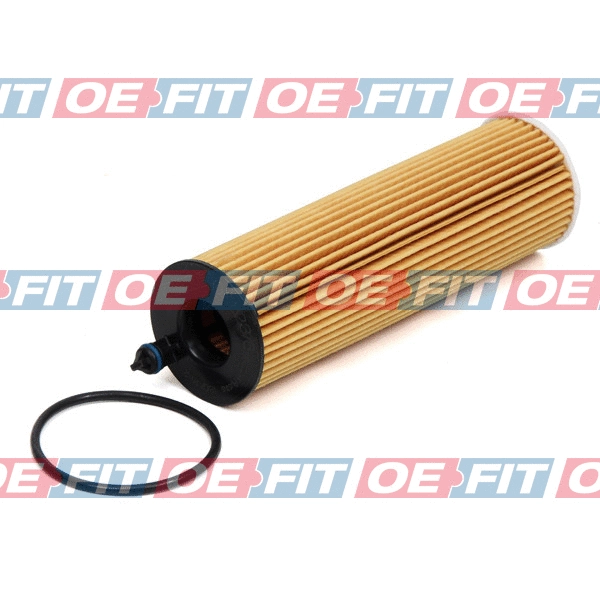 Oil Filter (310 12 851 02 22)