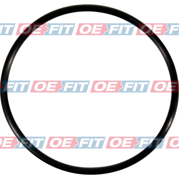 Seal, thermostat (313 16 960 03 22)