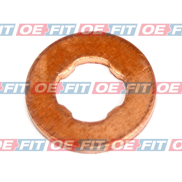 Seal Ring, nozzle holder (313 02 511 03 22)