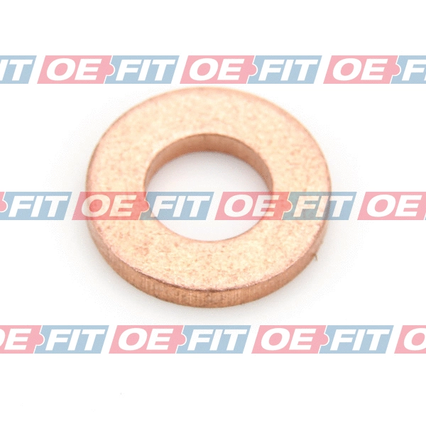 Seal Ring, nozzle holder (313 06 991 02 22)