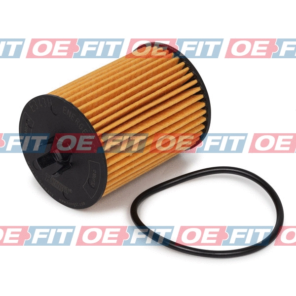 Oil Filter (309 18 131 02 22)