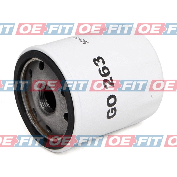 Oil Filter (310 16 685 03 22)