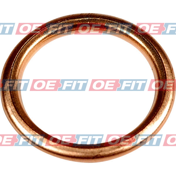 Seal Ring, oil drain plug (313 28 061 03 22)