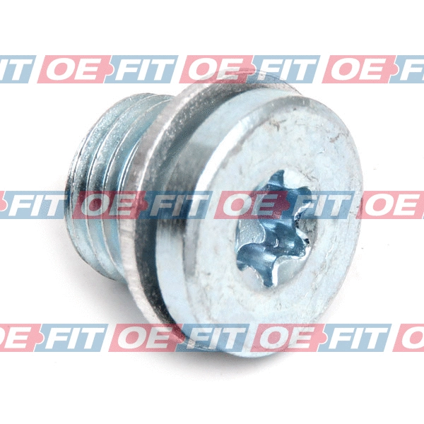 Screw Plug, oil sump (310 18 953 03 22)