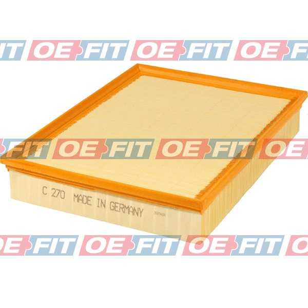 Air Filter (310 18 202 03 22)