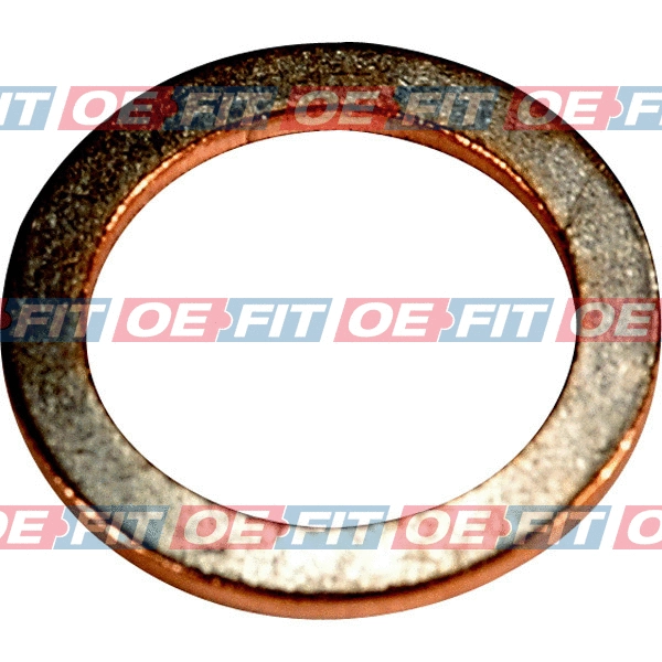 Seal Ring, oil drain plug (313 18 064 03 22)