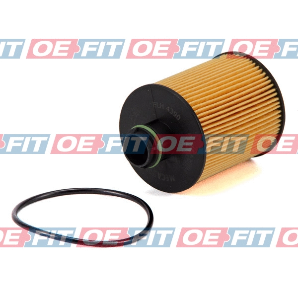 Oil Filter (310 27 731 02 22)