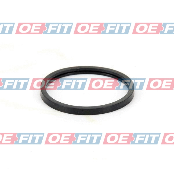 Seal, thermostat (313 27 913 03 22)