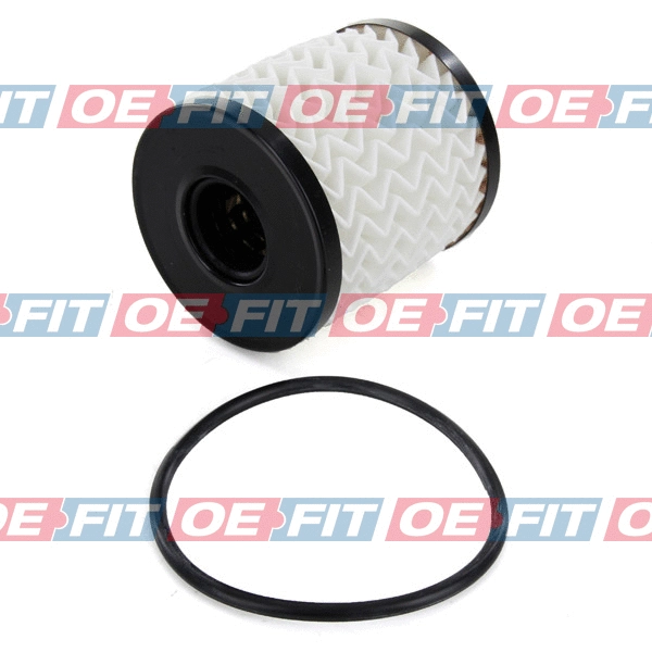 Oil Filter (310 08 143 03 42)