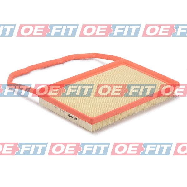 Air Filter (310 18 208 02 22)