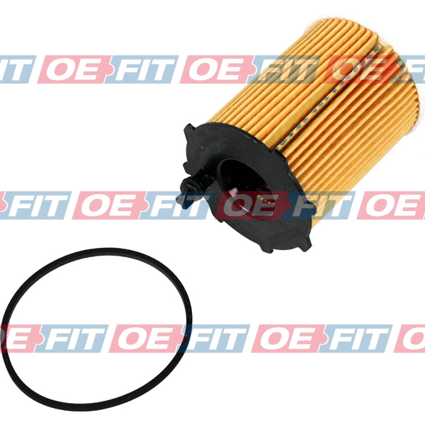 Oil Filter (310 02 191 02 22)