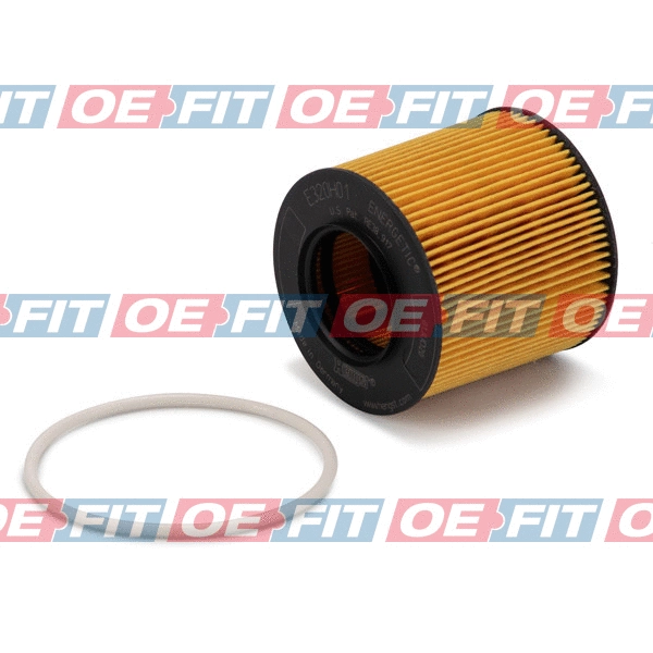 Oil Filter (310 18 305 02 22)