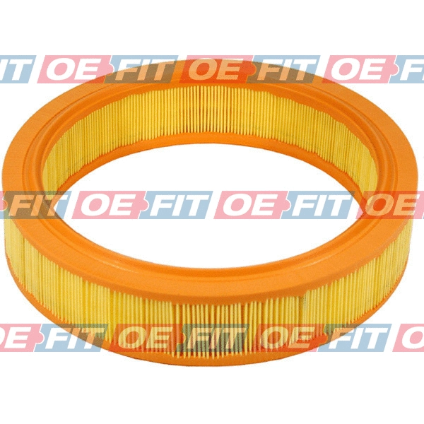 Air Filter (310 18 233 03 22)