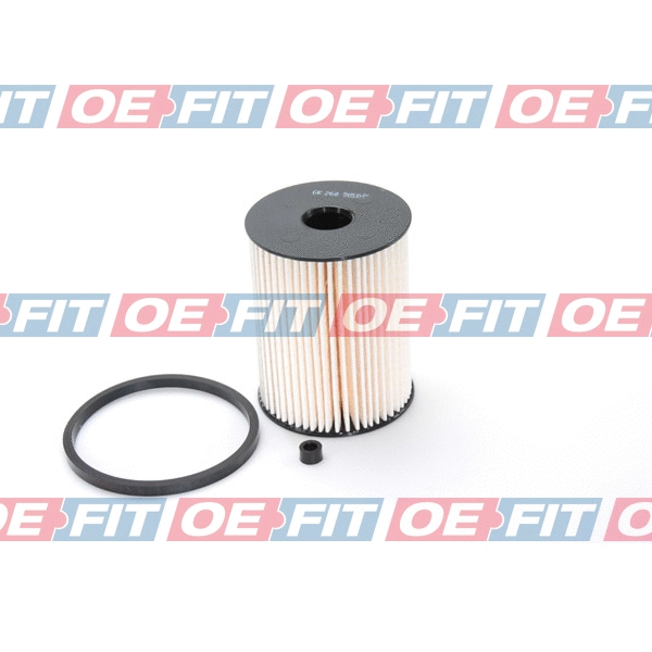 Fuel Filter (312 16 099 02 22)