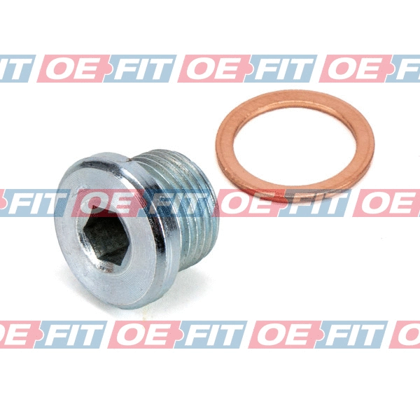 Screw Plug, oil sump (310 02 725 03 22)