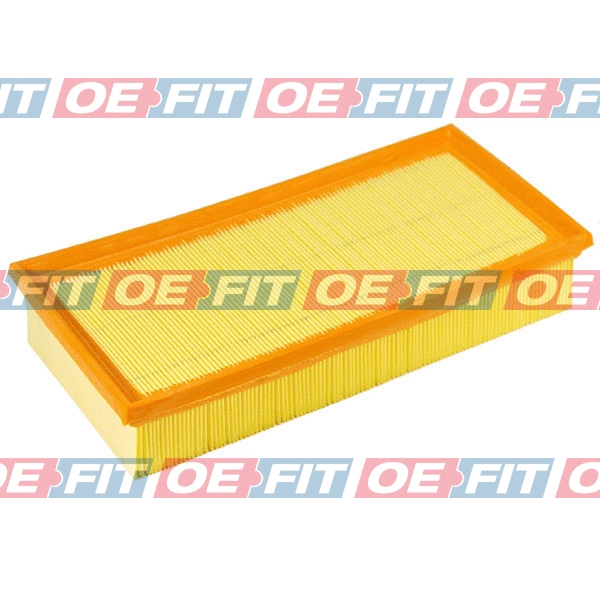Air Filter (310 08 203 03 22)