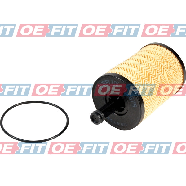 Oil Filter (310 06 234 02 22)