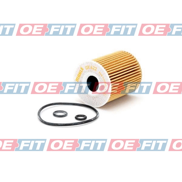 Oil Filter (310 18 159 02 22)