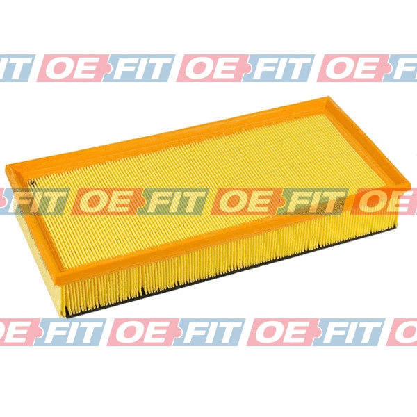 Air Filter (310 18 255 03 22)