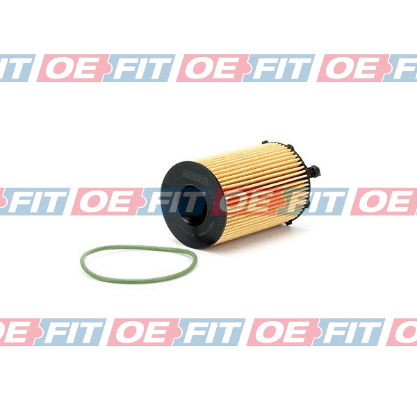Oil Filter (310 18 259 02 22)