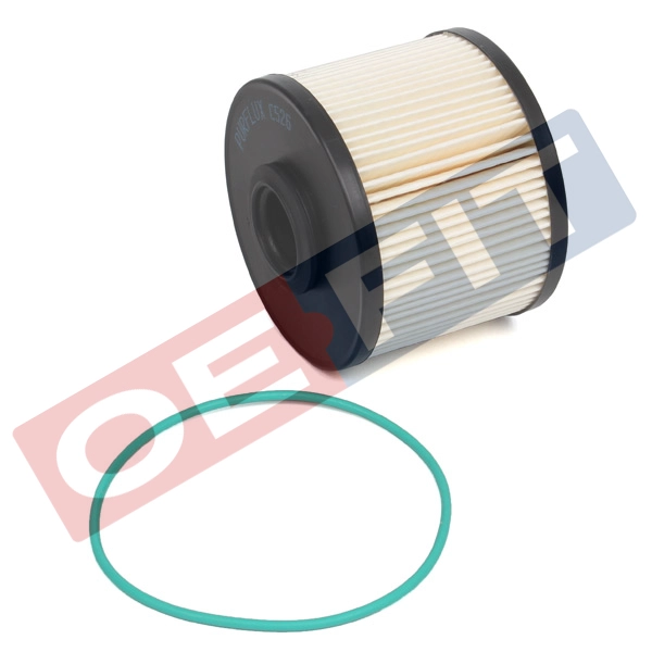Fuel Filter (312 06 060 02 22)